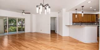 1002 S HARBOUR ISLAND Boulevard Gallery 6