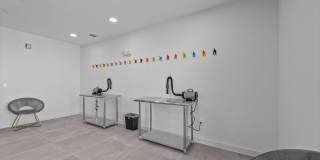 Arden 231 Gallery 33