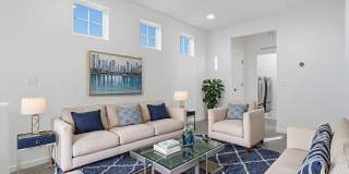 4512 Mark Avizo Gallery 21