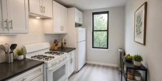 815 Morris Park Avenue Gallery 5