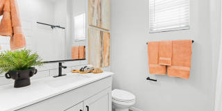 Canopy at Sundance Gallery 61