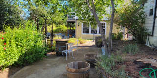 497 Gossage Avenue Gallery 1