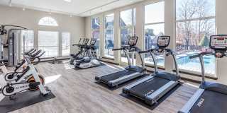 Gregory North and South Gallery 20