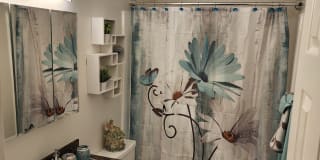 The Timbers Apartments Gallery 5