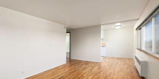 Park Manor Gallery 7