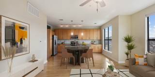 COLE COLE Gallery 13