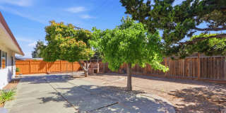 Wow! What a Great Home! Available Now! Gallery 37