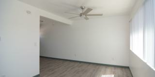 Remodeled 2 Bedroom 1 Bath Duplex! Great Central Tucson Location! Gallery 4