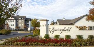 Springfield Gallery 34