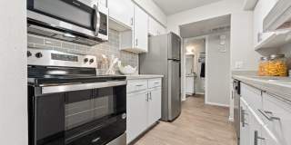 Serafina at South Mountain Gallery 16