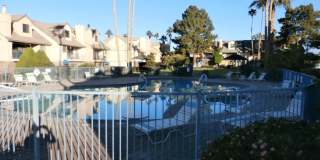 1566 Palace Way unit: 38 Gallery 29