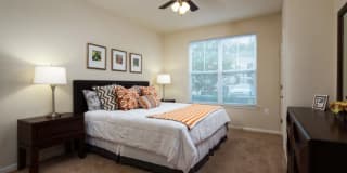 Preserve at Hardin Valley Gallery 6