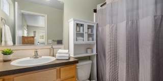 1009 Andrews Peak Dr Gallery 9
