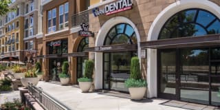 The Verdant The Verdant Gallery 34