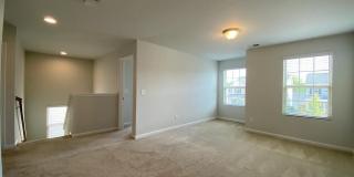 3461 Norway Spruce Road Gallery 18