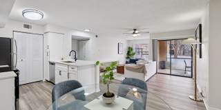 Oasis at Naples Gallery 5