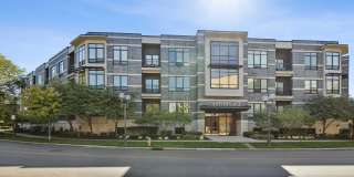 Aston Place Gallery 19