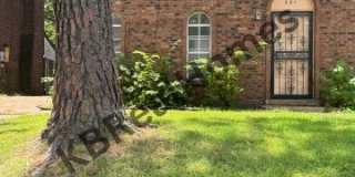 1281 Royal Oaks Cove Gallery 1