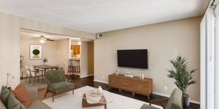 Ashford Place Gallery 2