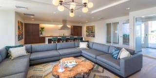 Modera Belmont Gallery 41