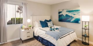 2900 Lux Apartment Homes Gallery 4