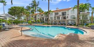 Windsor Coral Springs Gallery 15