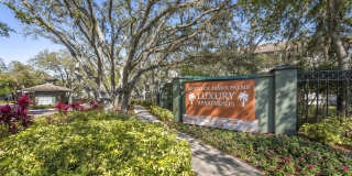 Mezzo of Tampa Palms Gallery 33