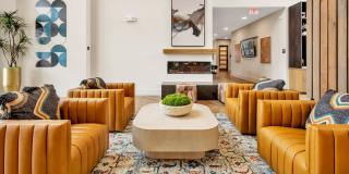 Trailwinds Grapevine Gallery 55