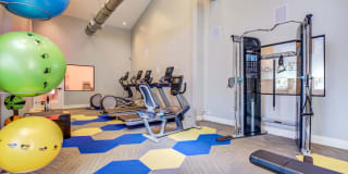 The Alexandar Gallery 11