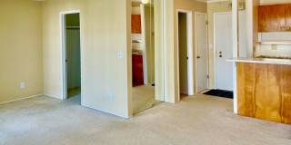 Sunny Studio in Resort Setting on the Bay 15 minutes from SF Gallery 4