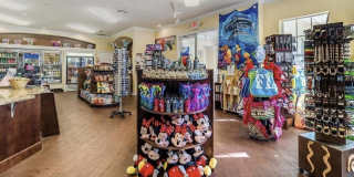 8103 COCONUT PALM Way Gallery 30