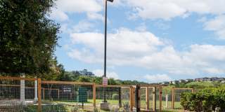 Meritage at Steiner Ranch Gallery 46