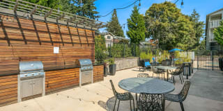 Skyview 3322 Gallery 22