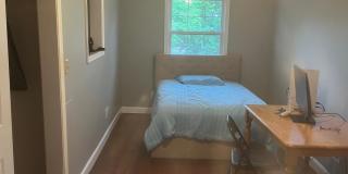 53 Arlene Drive Gallery 19