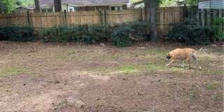 110 Bald Eagle Drive Gallery 11