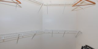 Bloom Gallery 43