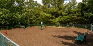 Hamilton Greene Gallery 24