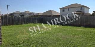 China Spring 4-Bedroom Gallery 17