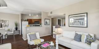 Venicia Gallery 78