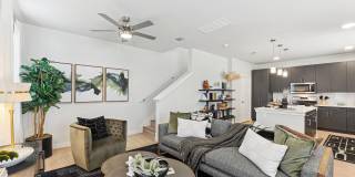 Alaro Gallery 13