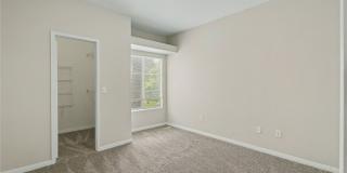 517 Indian Princess Drive Gallery 16