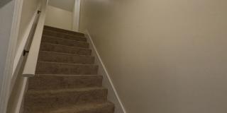 Renovated 3 Bed 1 Bath Gallery 7