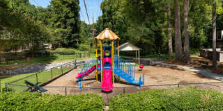 Hidden Colony Gallery 21