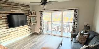 1 Bedroom Apartment in Lynchburg Gallery 6