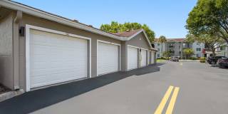 Coral Vista Gallery 28