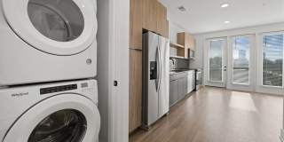 The Scottie Gallery 8