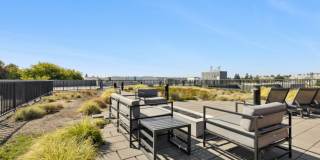 Smith & Burns Gallery 4