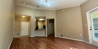 10017 COURTNEY PALMS BOULEVARD Gallery 1