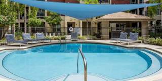 Varela Westshore Gallery 6