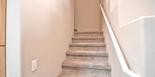 Coventry Park Gallery 30